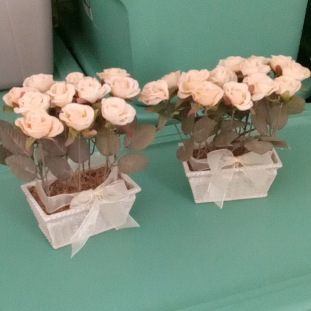 2 flower decorations. In pots. So cute 9×5